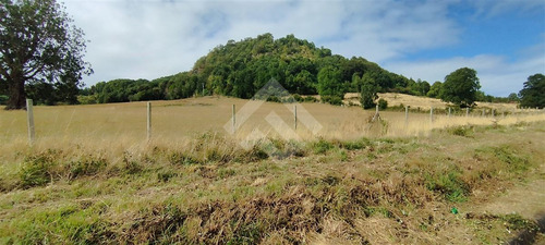 Sitio - 5.000 M2 Cada Uno - Cascadas - Puerto Octay