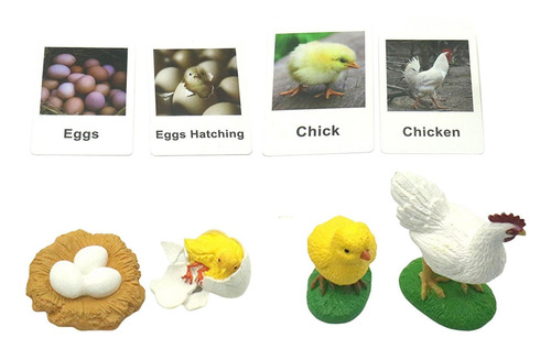 Figuritas De De Pollo, Juguetes De Aprendizaje Montessori