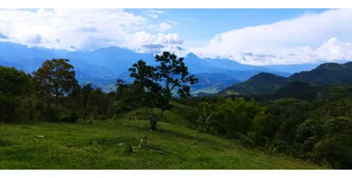 Vendo Lote En Los Andes Antioquia