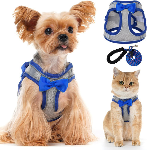Dog Harness With Leash Set, Step-in Breathable Puppy Cat Dog