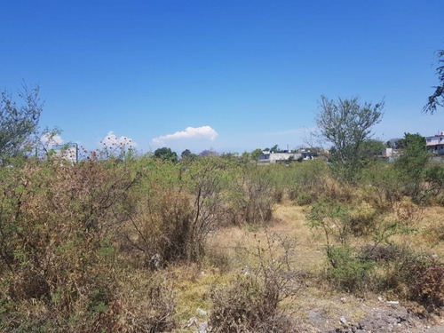 Imagen 7 de 7 de Terreno En Venta Plan De Ayala