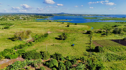 Fazenda Em Santo Estevão Bahia ( Arrendamento Ou Aluguel)