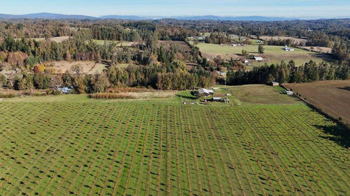 Campo En Venta Inversionista Pitrufquen (104143)