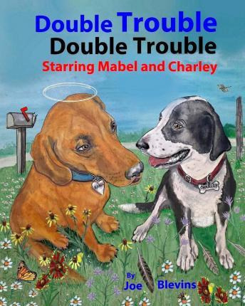 Libro Double Trouble - Mr Joe L Blevins