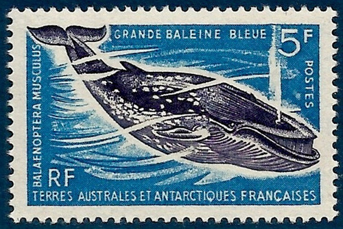 Fauna - Ballena Azul - Antártida Francesa - Mint Yv 22