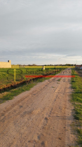 Loteo Los Alamos Ultimos Lotes Disponibles- Gral. Madariaga