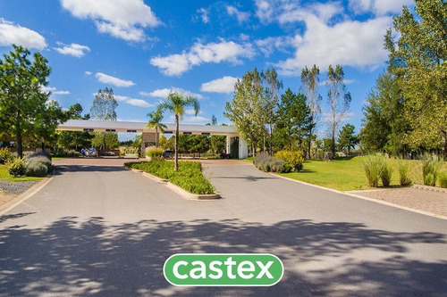 Imagen 14 de 20 de Lote En Venta En Sector House De Terralagos
