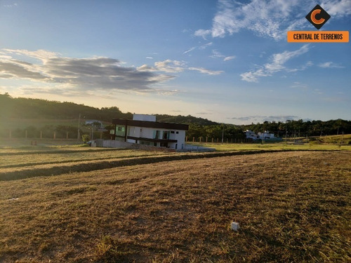 Terreno - Te00402 - 69013933
