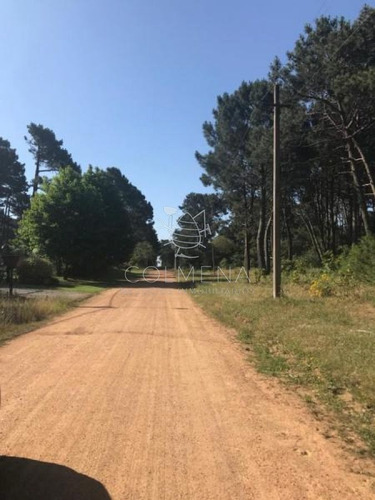 Imagen 2 de 5 de Terreno En Rincon Del Indio A Pocas Cuadra De La Playa Brava - Punta Del Este Rincón Del Indio