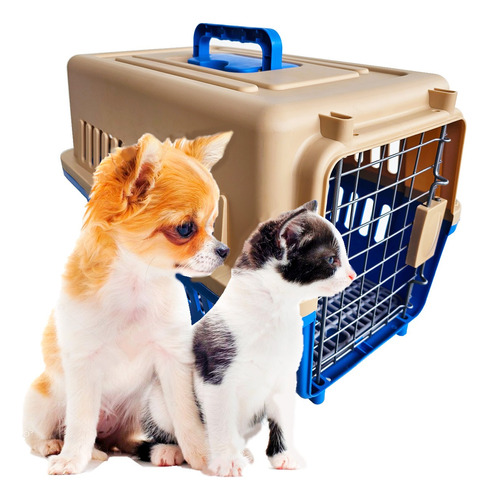 Caixa Plástica Transporte Gatos Cachorro Cães Pequeno Porte 