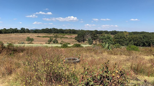 Imagen 7 de 13 de Venta De Terreno En San Martin Cachihuapan, Villa Del Carbón