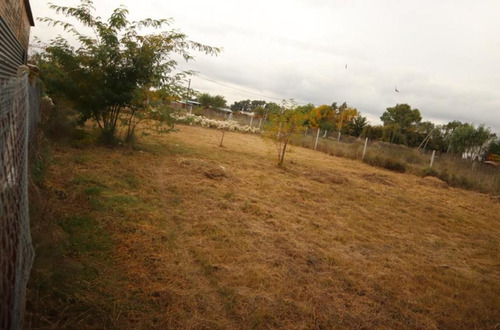 Imagen 5 de 5 de Terreno -venta - Permuta - Villa Elisa