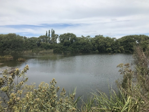 Venta De Chacra Sobre Ruta 9 A 30 Km De Jose Ignacio- Ref: 6626