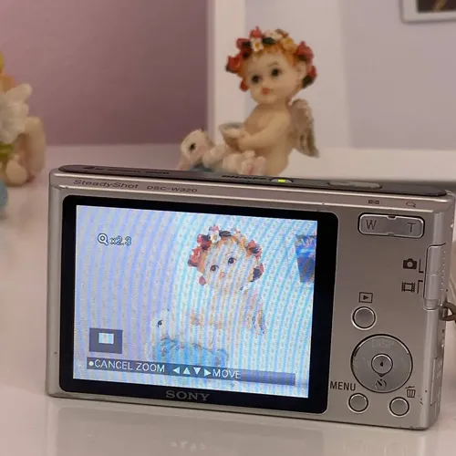 Sony Cyber-shot Dsc W320 | Parcelamento sem juros