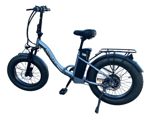 Bicicleta Electrica Asistida R20 350w 