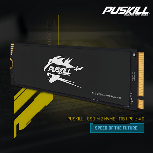 Hd Ssd M.2 2280 PUSKILL 1tb NVMe PCIe 4.0x4 Psk-m2ssdp44-1024g