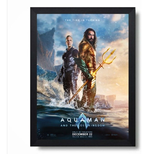 Cuadro Aquaman 2 Marco Con Vidrio 35x50