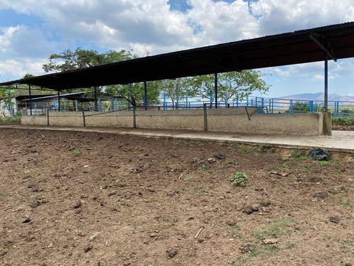 Imagen 12 de 30 de En Venta Granja Automatizada Y Finca De Ganado 142638 Andres Peña