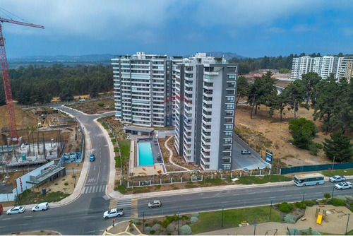 Vive En Lomas De Montemar, Concón