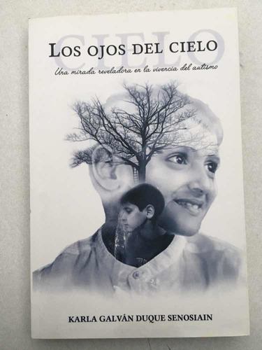 Los Ojos Del Cielo. Karla Galván Duque Senosiain. 2018.