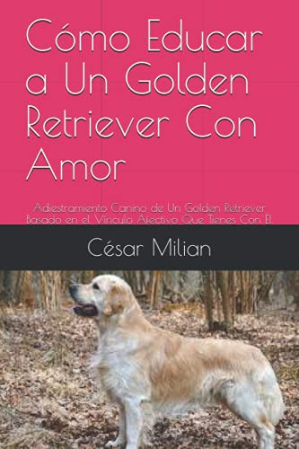 Como Educar A Un Golden Retriever Con Amor: Adiestramiento C