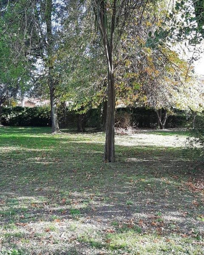 Imagen 4 de 4 de Terreno En Venta. Muy Buena Ubicación.