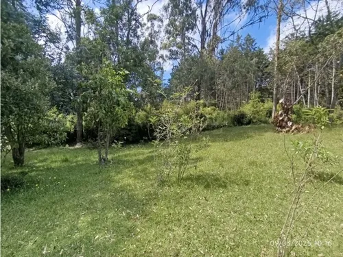 Vendo Lote En Llano Grande Vereda Cabeceras De 6.307 M² Sobre Vía