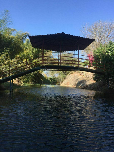 Imagen 10 de 23 de Rancho Las Buganvilias! Dream Opportunity!