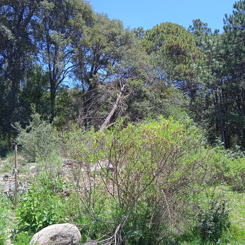 Terreno En Omitlan, Hidalgo A 30 Mins De Pachuca Y 15 De Huasca, Propiedad, Entrada En Pavimento Y Servicios A La Mano