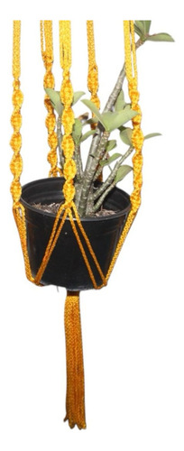 2 Macetero Colgante Macrame Par Decorartivo Portamaceta Amarillo