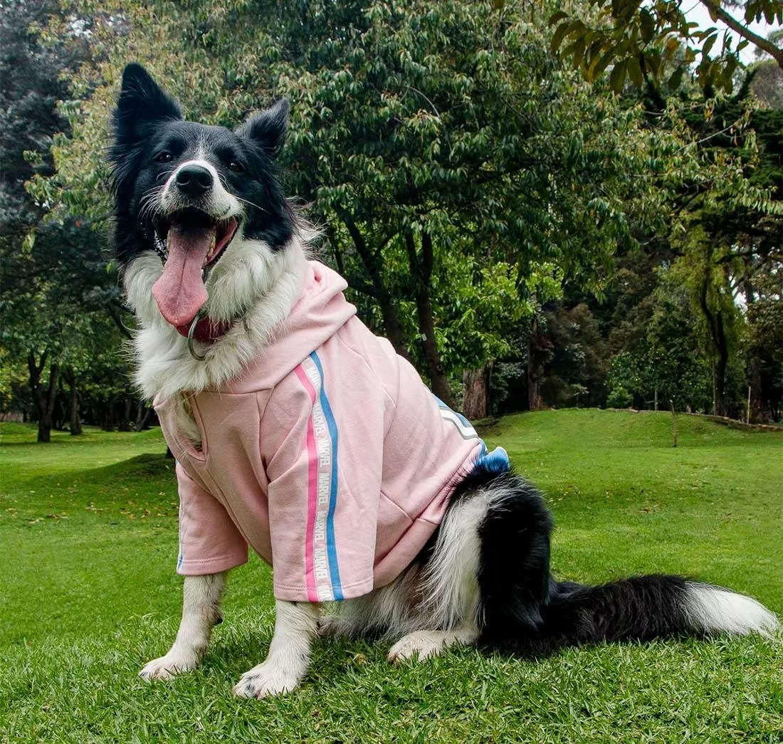 Primera imagen para búsqueda de ropa para perros