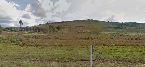 Campo En Venta En Lavalleja, 11 Hectáreas