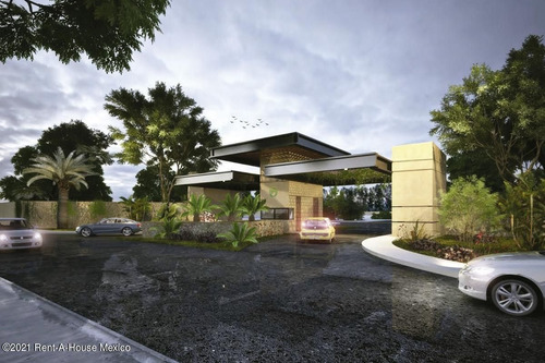 Imagen 7 de 9 de Terreno En Venta En Temozon Norte Merida 214318jl