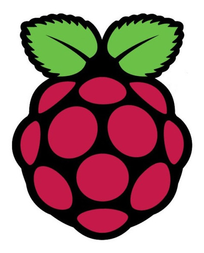 Raspberry Memoria Micro Sd 32 Gb Clase 10 Con Debian