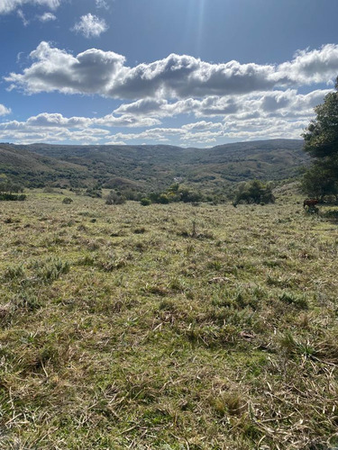 Oportunidad Chacras 5 Hectareas En Maldonado. Sierras De Aigua, Ruta 109. Con Arroyo, Cañadas, Monte Nativo.