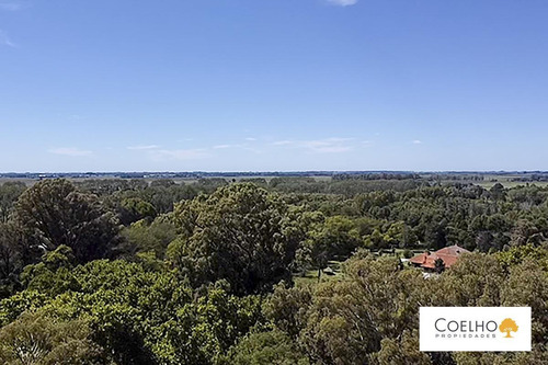Imagen 28 de 30 de Terreno - Carmen De Areco