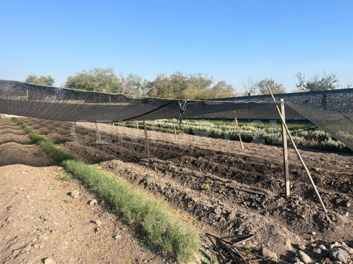 En Venta Terrenos En Itzamatitlán, A 10 Min. De Caseta De Oacalco, Morelos