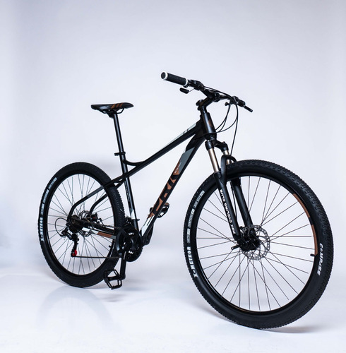 Mountain Bike Instinct R29 21v