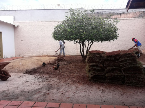 Imagem 5 de 7 de Serviço De Jardinagem E Paisagismo