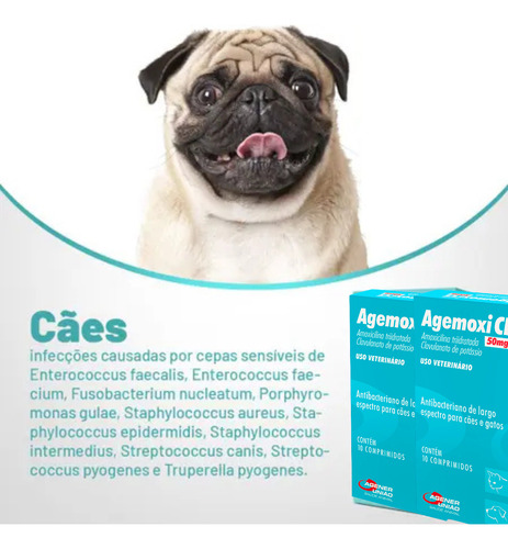 Kit 2 Agemoxi Cl 50mg 20 Comprimidos Antibiótico Cães/gatos