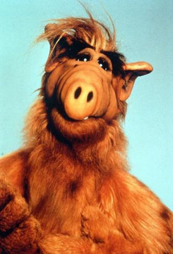 Imagen 2 de 2 de Alf Peluche De Pelo Largo, Muñeco 73m Regalo, Juguete Niños