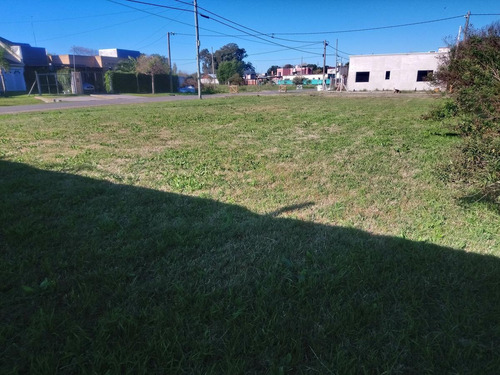 Imagen 6 de 13 de Terreno - Loma Verde