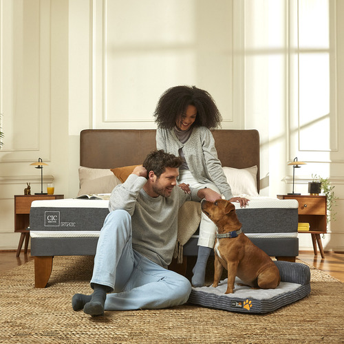 Cama Europea 2 Plazas Cic Ortopedic + Plumón