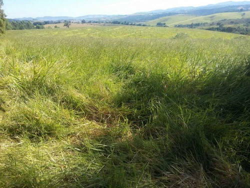 Imagem 26 de 29 de Fazenda De Gado Com 263 Hectares Itajuba - 36525