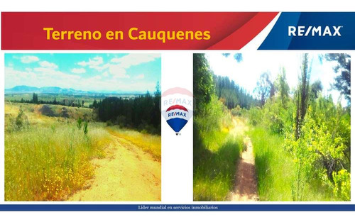 Venta Terreno En Cauquenes - 31,74 Hectareas