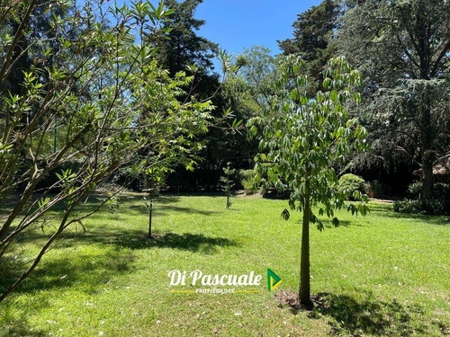 Venta Casa Quinta Con Parque, Pileta Y Quincho - La Reja Sur