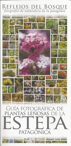 Guía Fotográfica De Plantas Leñosas De La Estepa Patagónica