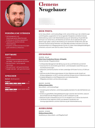 Curriculum Vitae Profesional