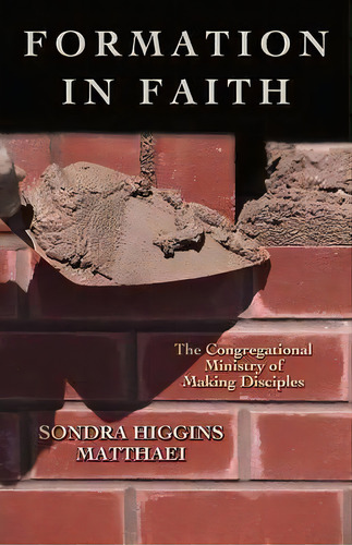 Formation In Faith, De Sondra Higgins Matthaei. Editorial Abingdon Press, Tapa Blanda En Inglés