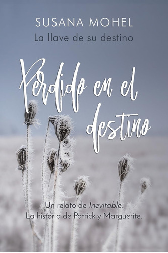 Libro: Perdido En El Destino: La Llave De Su Destino (spanis